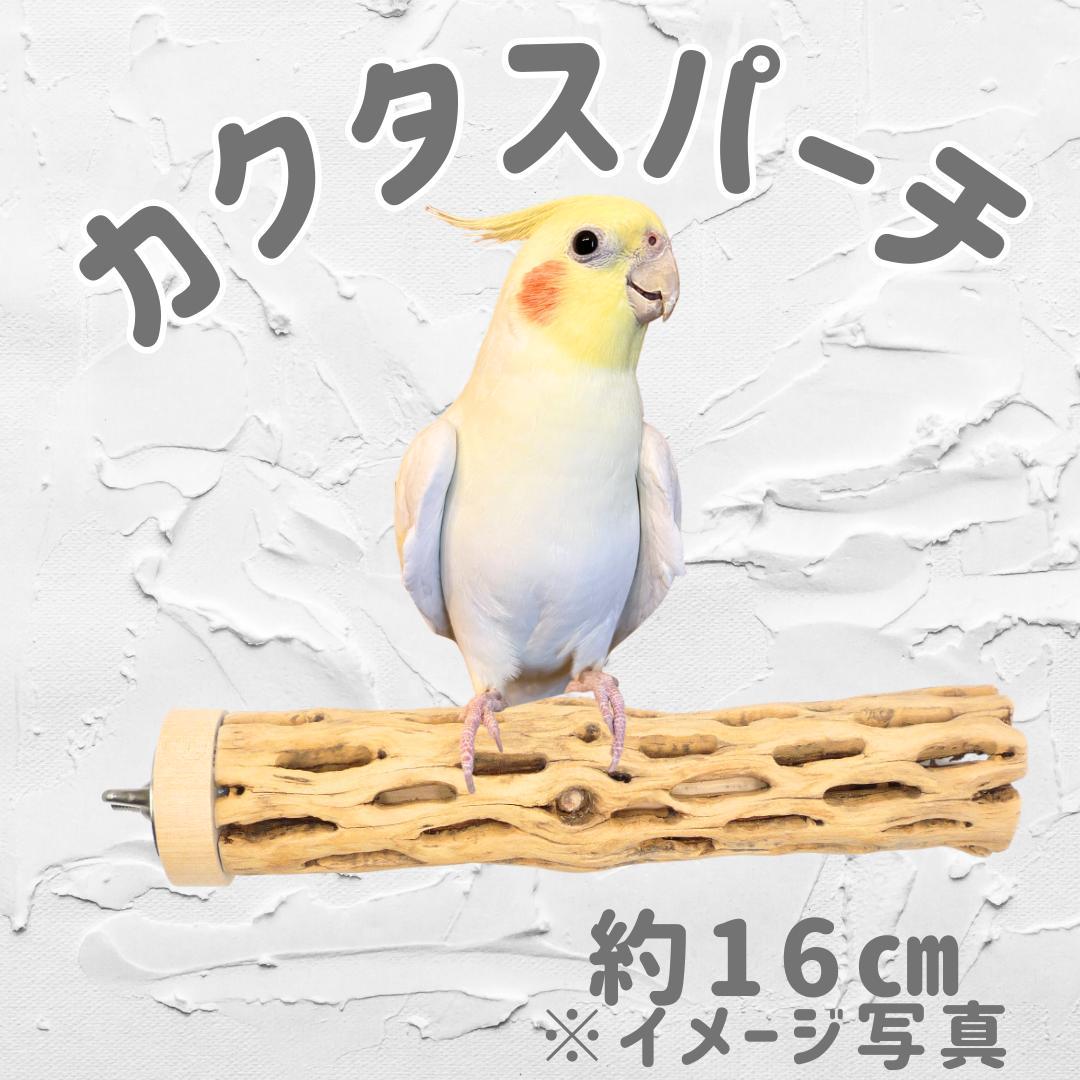 鳥用品 止まり木 カクタス スケルトン パーチ 中細 No.580 - メルカリ