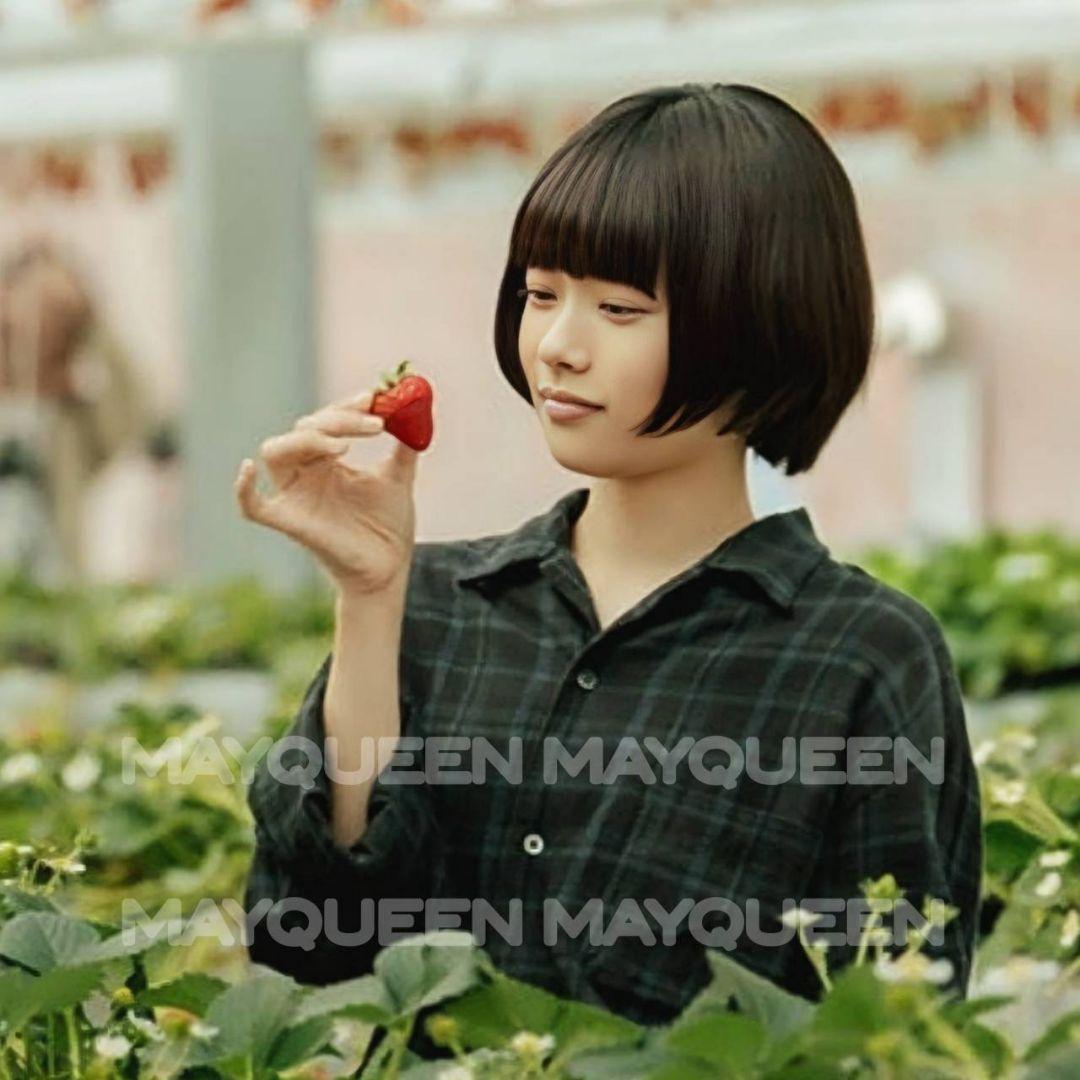 新品未使用〕杉咲花さん着用* Steven Alan オープンカラーシャツ/M