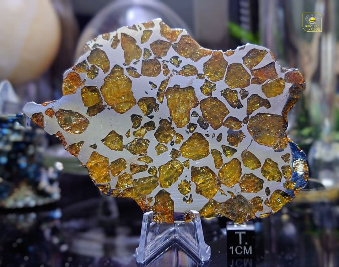 トッポー★65.59g イミラック パラサイト 隕石 Imilac⭐⭐⭐