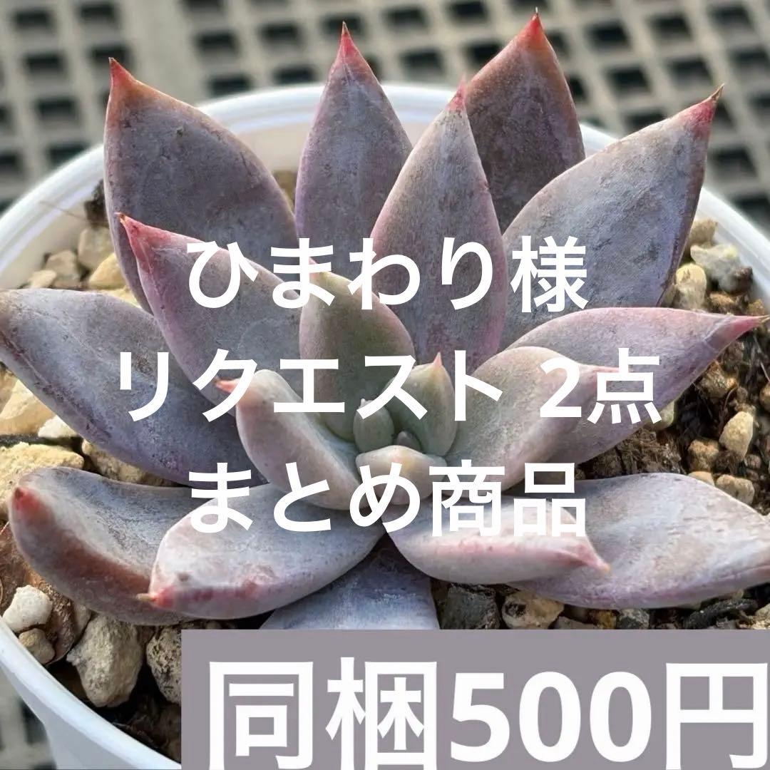 ひまわり様 リクエスト 2点 まとめ商品 - メルカリ