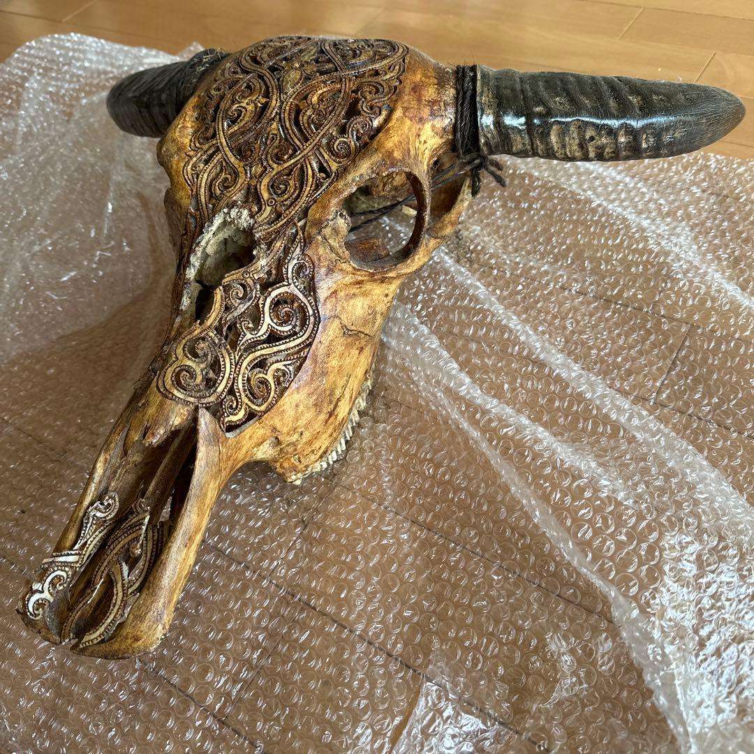 バッファロースカル　牛頭蓋骨　壁掛け彫像　カウボーイ　アメカジ Amazon.co.jp: Ebros 幅12.5インチ 西部南西部の雄牛 バイソン