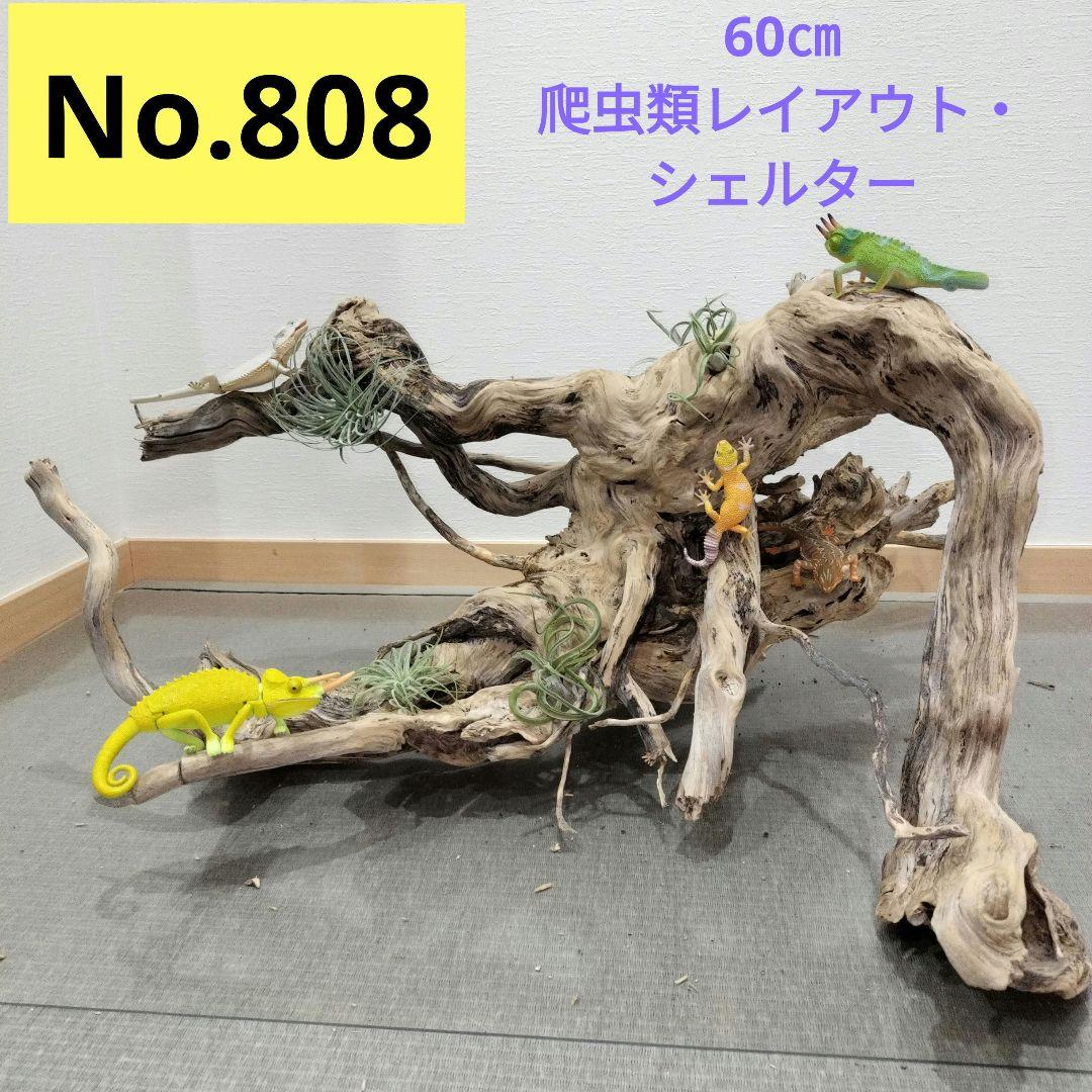 No.808】大型爬虫類レイアウト流木 爬虫類レイアウト✫インテリア