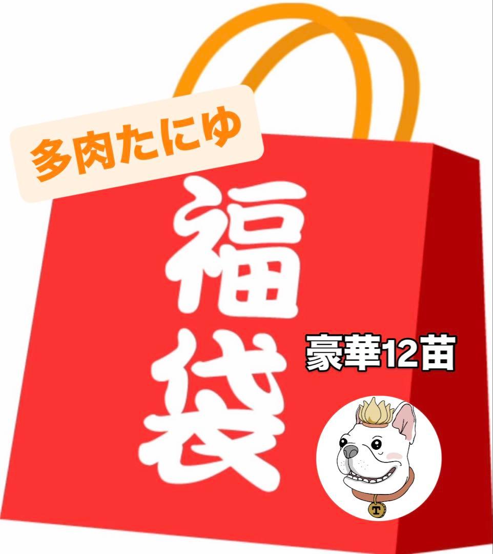 多肉たにゆ福袋 多肉植物 - メルカリ