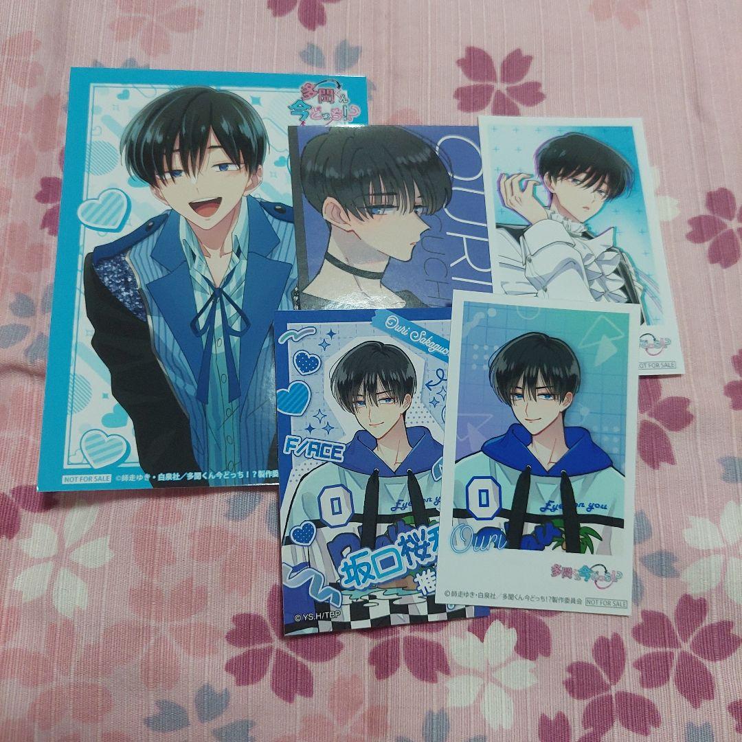 多聞くん今どっち？ 坂口桜利 - メルカリ