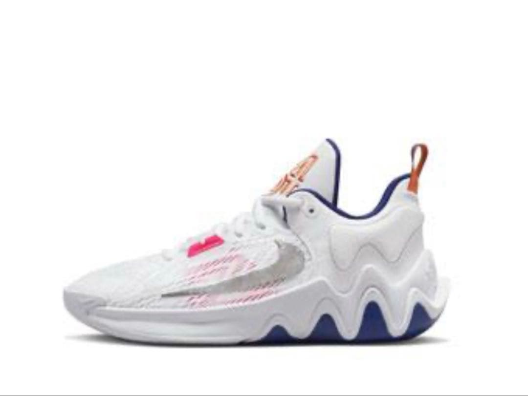 NIKE Giannis Immortality 2 24.5cm 新品未使用