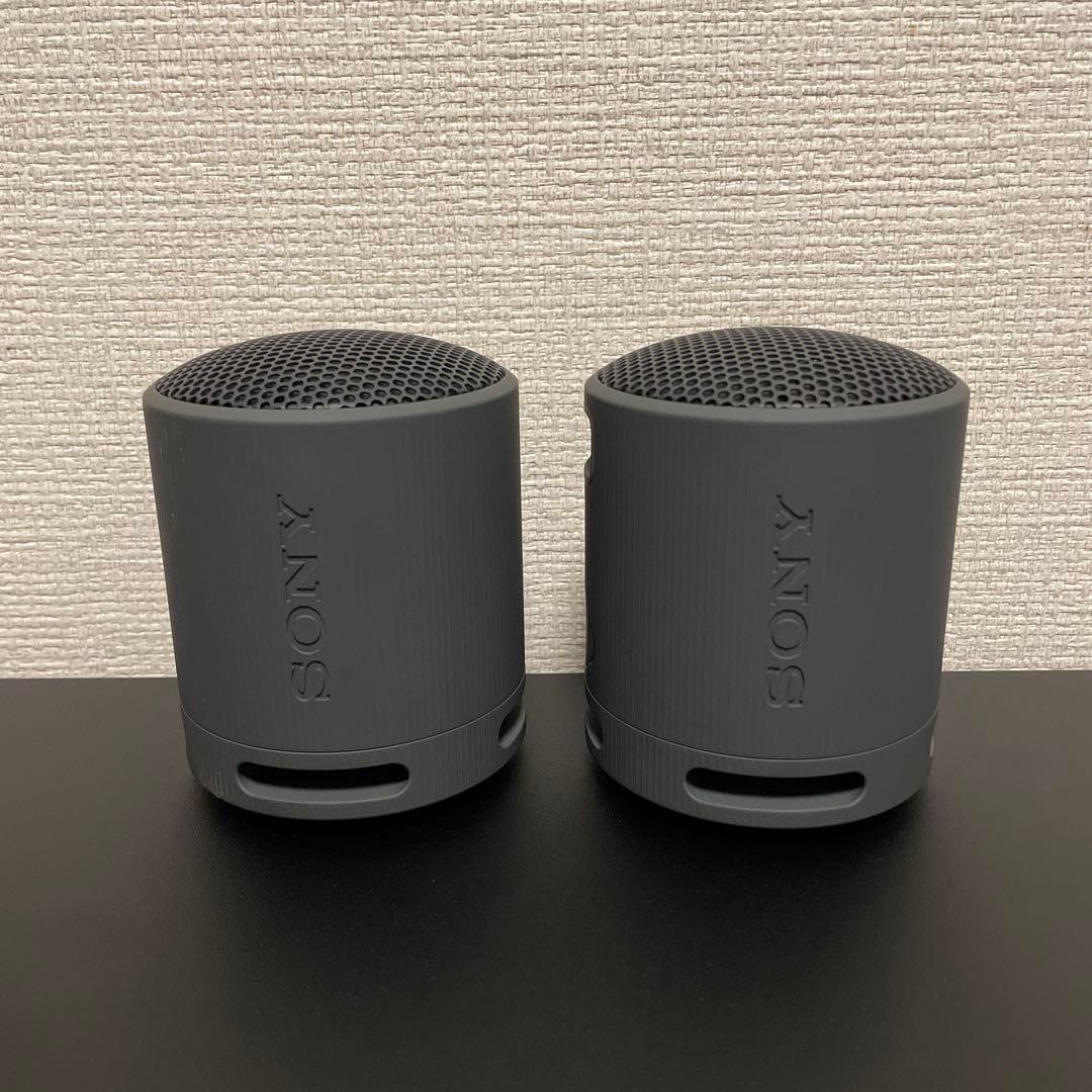 バラ売り⭕️】SONY SRS-XB100 2台セット SONY