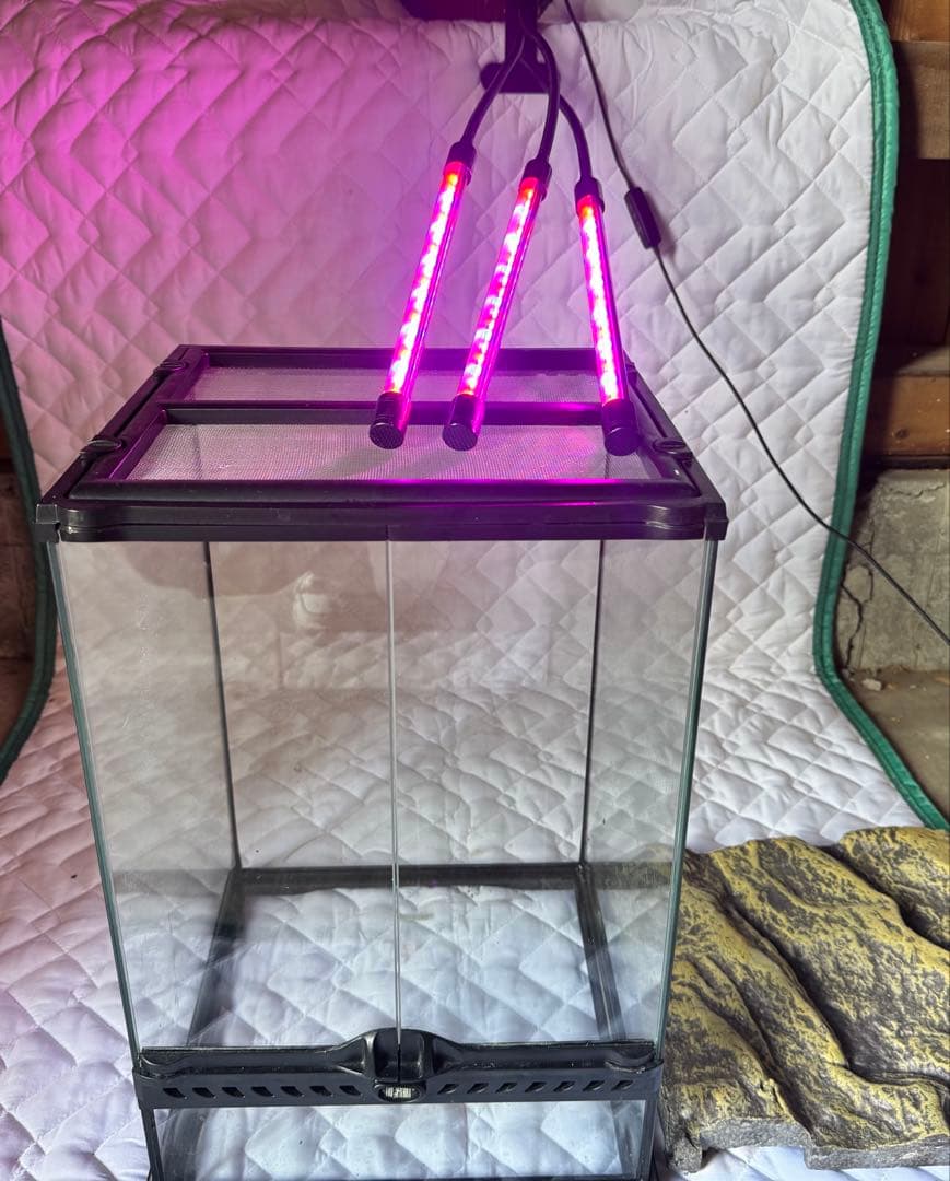 ス*ウ様 LEDライト付き　グラステラリウム3045 グラステラリウム3045 エキゾテラ GEX ガラス飼育ケージ 販売 通販