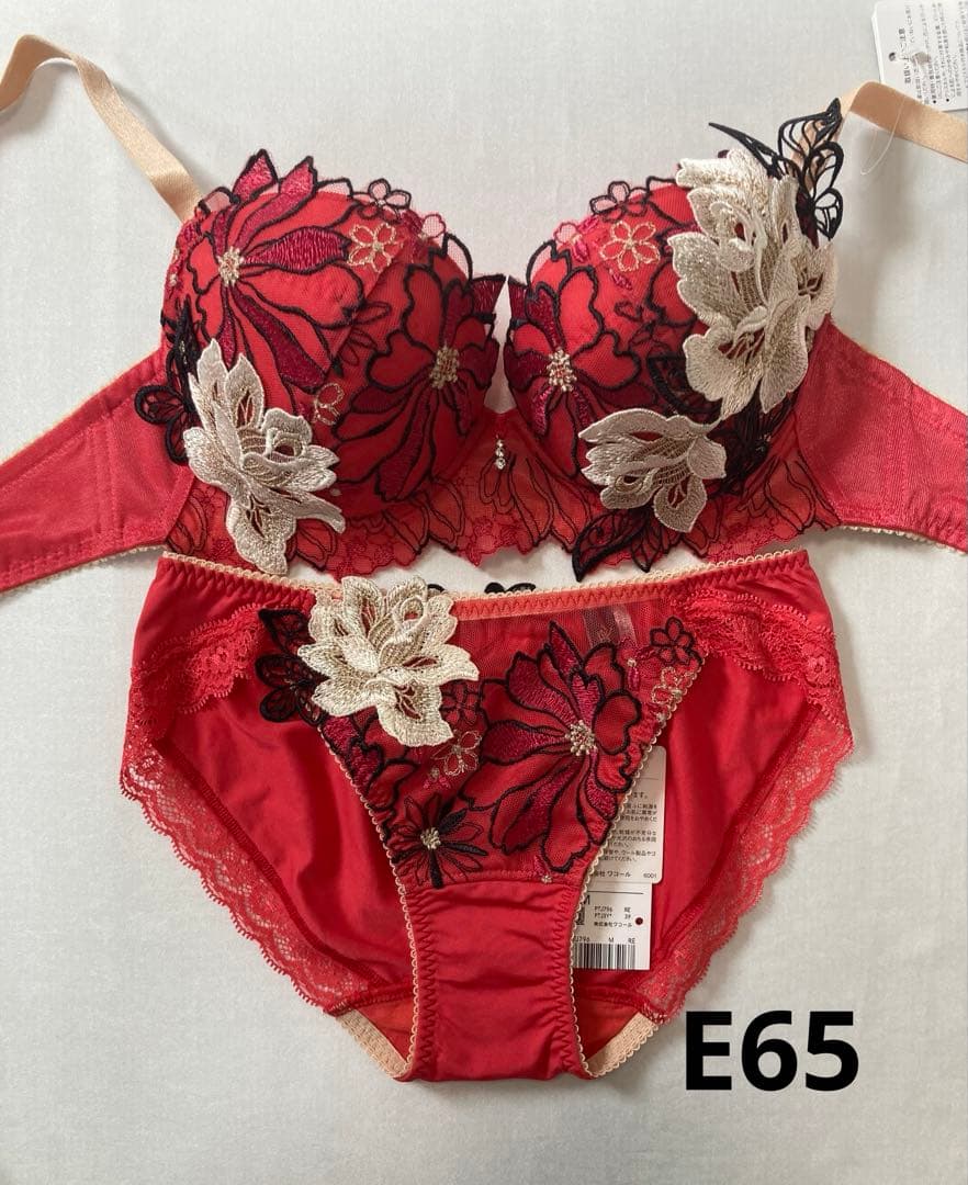 新品 ワコール サルート 96G プラダを着た悪魔 E65 ノーマルM - メルカリ