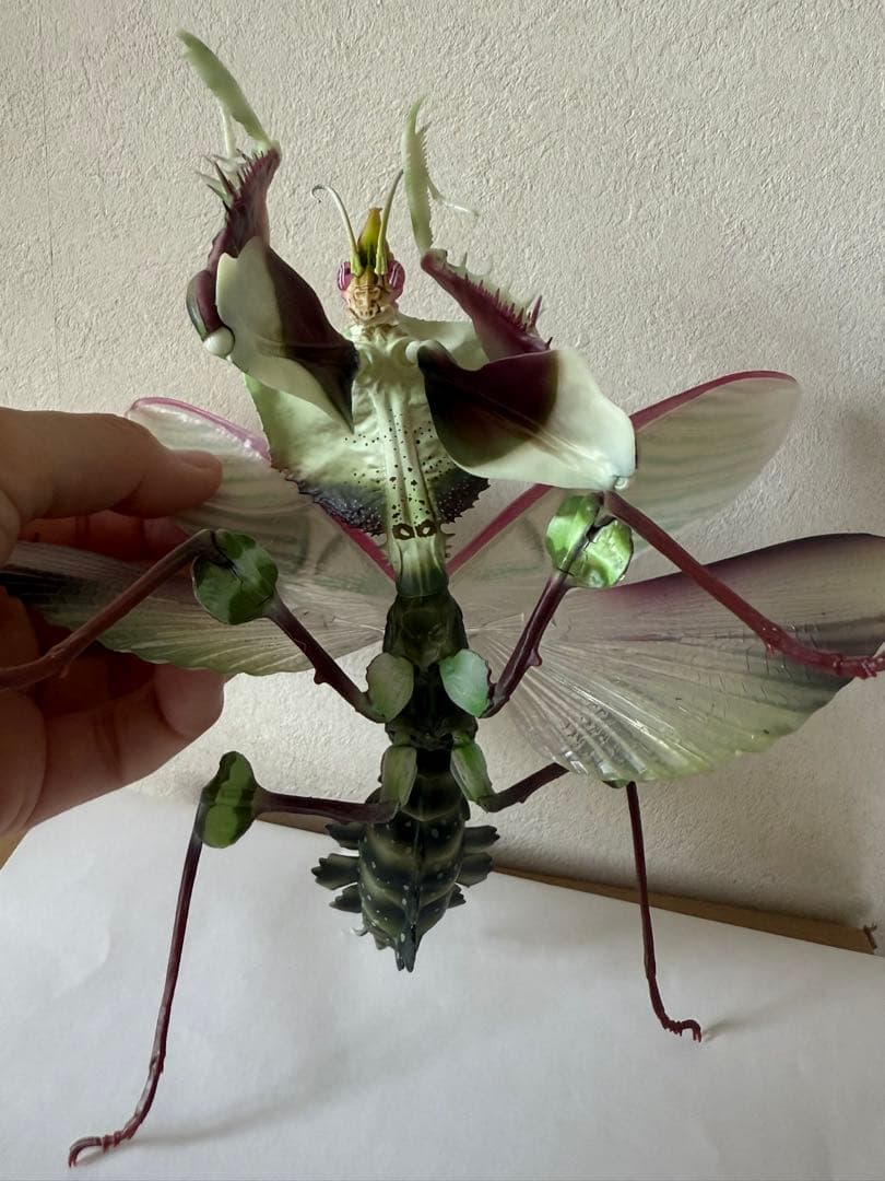 シ*ン様 いきもの大図鑑アドバンス ニセハナマオウカマキリ