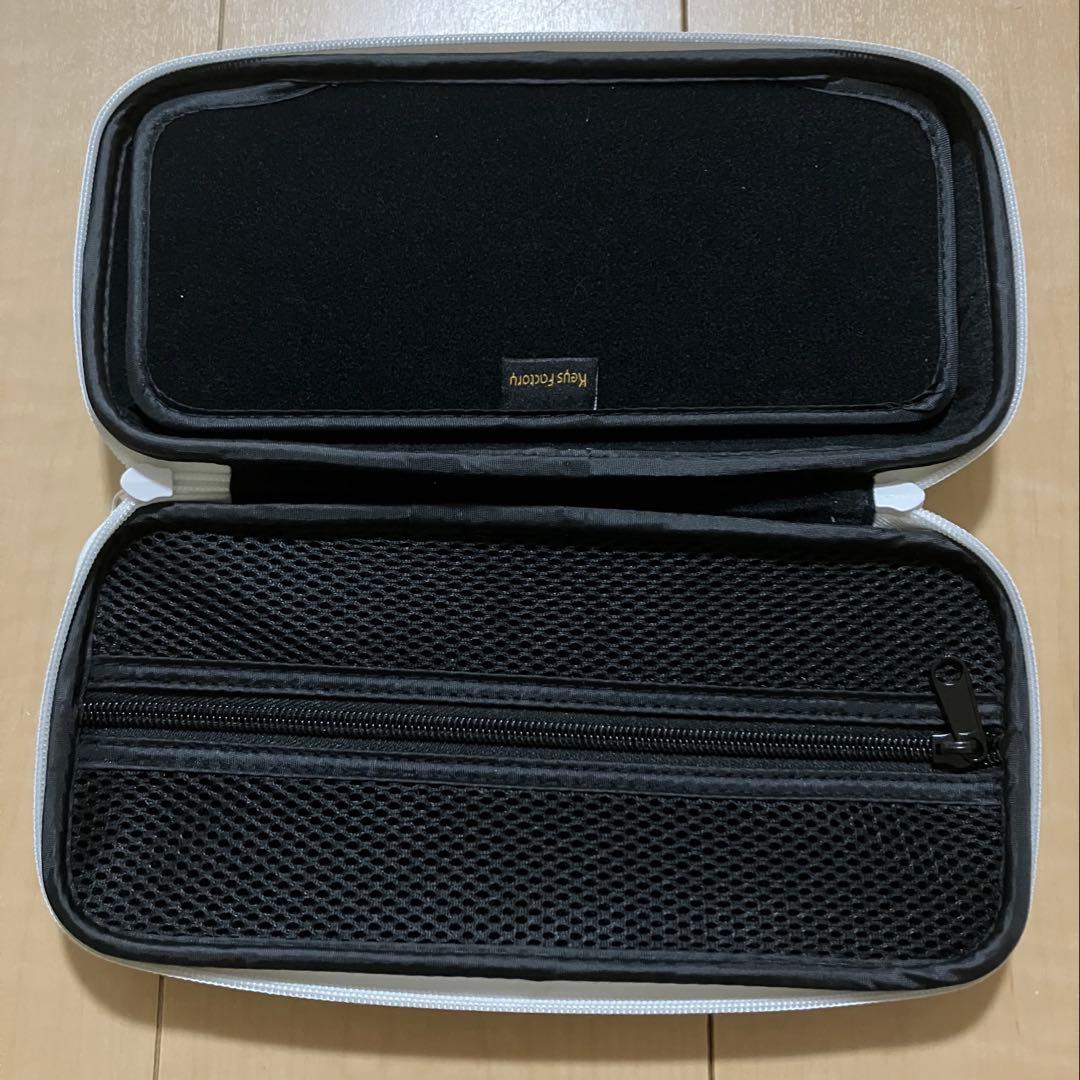 Nintendo Switch 本体 グレー ケース 充電器 ドック セット