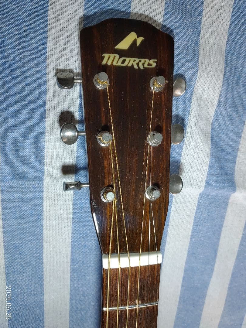 Morrisの12フレットジョイントのNYスタイルギターMY-601tsです