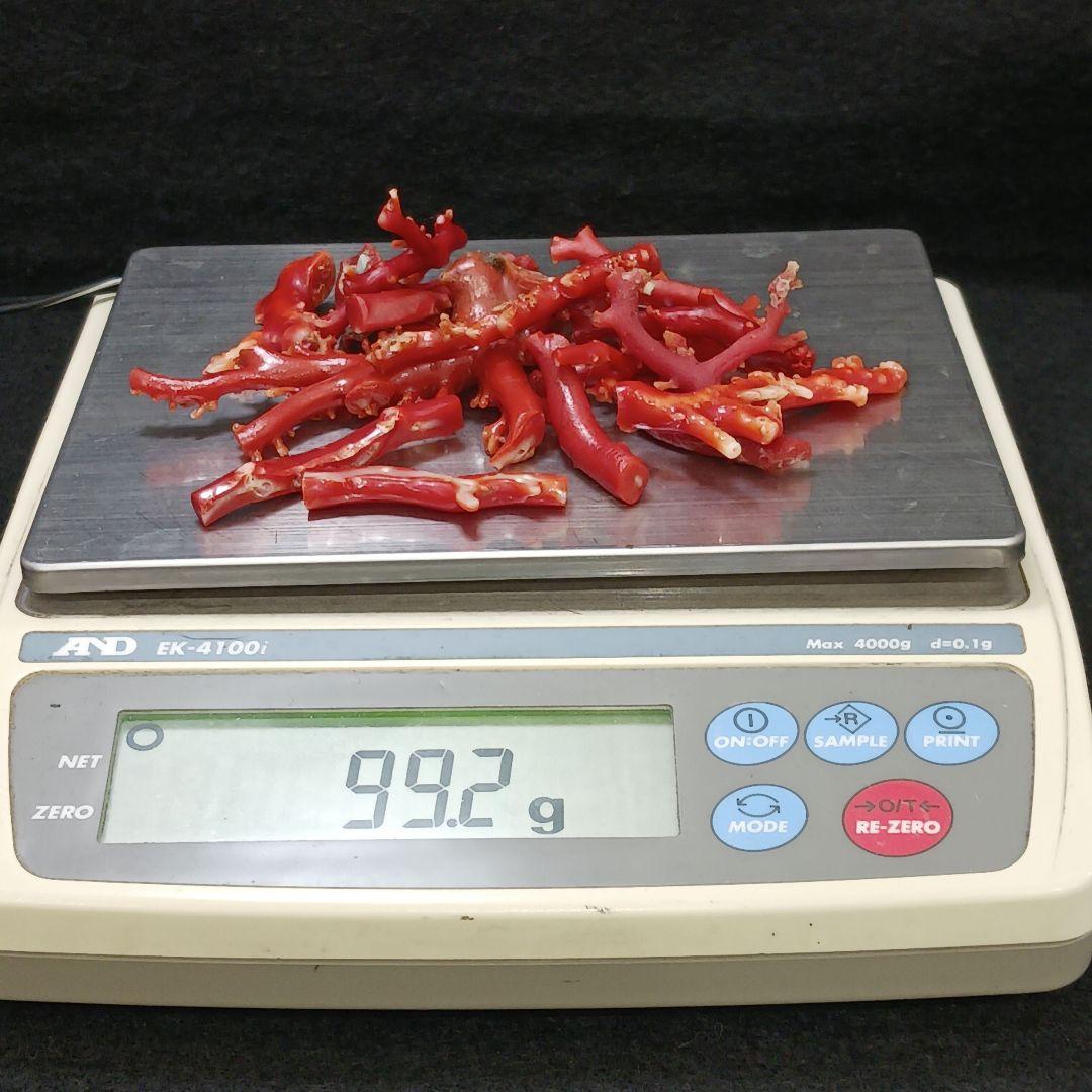 赤珊瑚 原木 枝 16点 総重量99.2g ね│ricavimedia.com