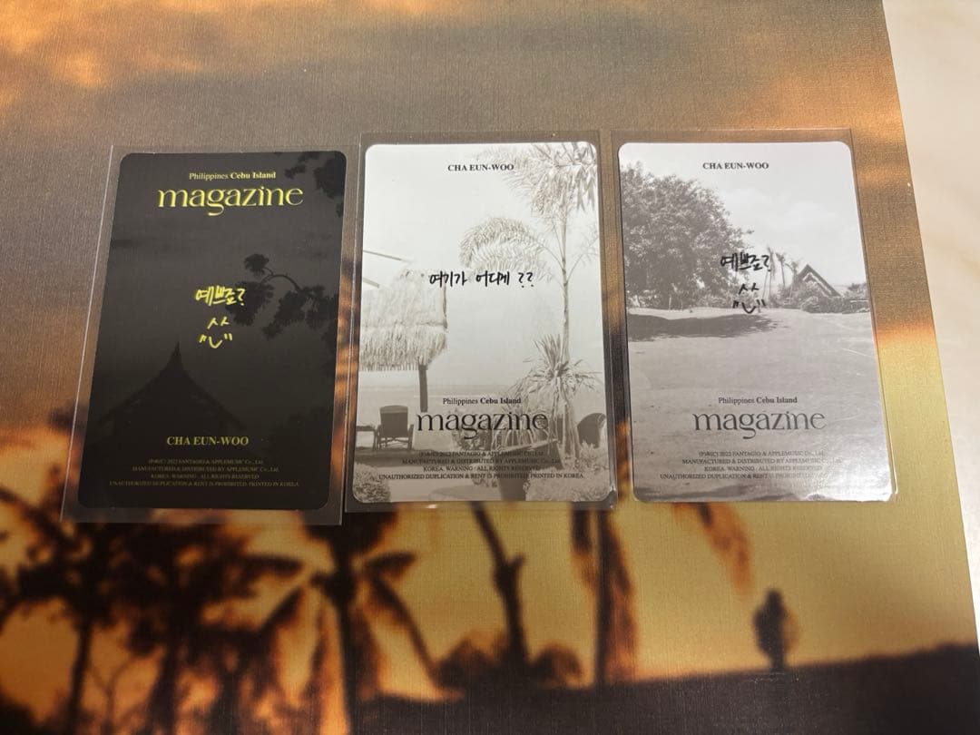 【抜けなし】チャウヌ magazine 写真集　トレカ