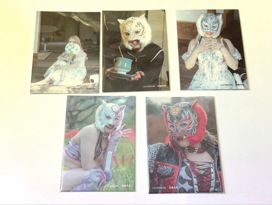 女子プロレス　スターダム　スターライト・キッド　カード　全5種　コンプリート 女子プロレス スターダム スターライト・キッド カード 全5種