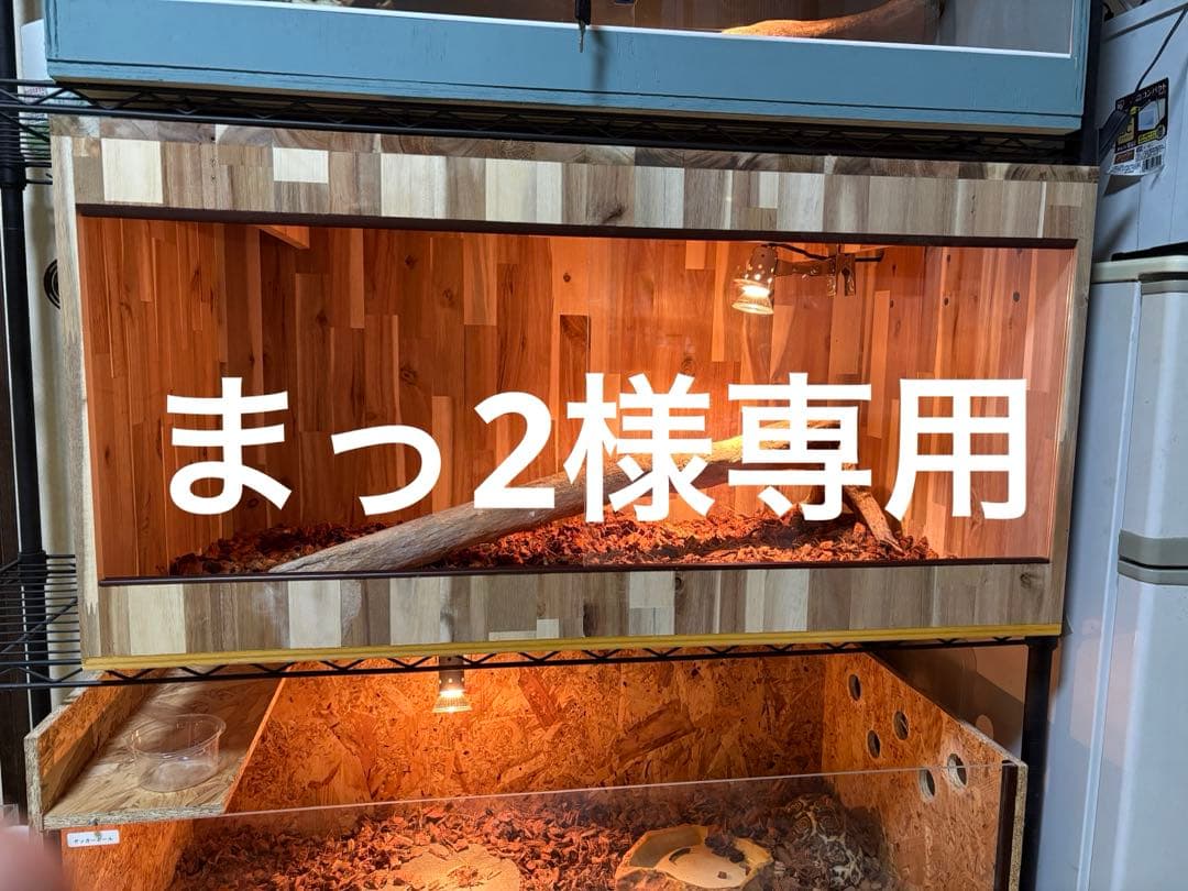 まっ2　アカシア904545 お急ぎ天板金網コーキングワンタッチロック まっ2 アカシア904545 お急ぎ天板金網コーキングワンタッチロック まっ