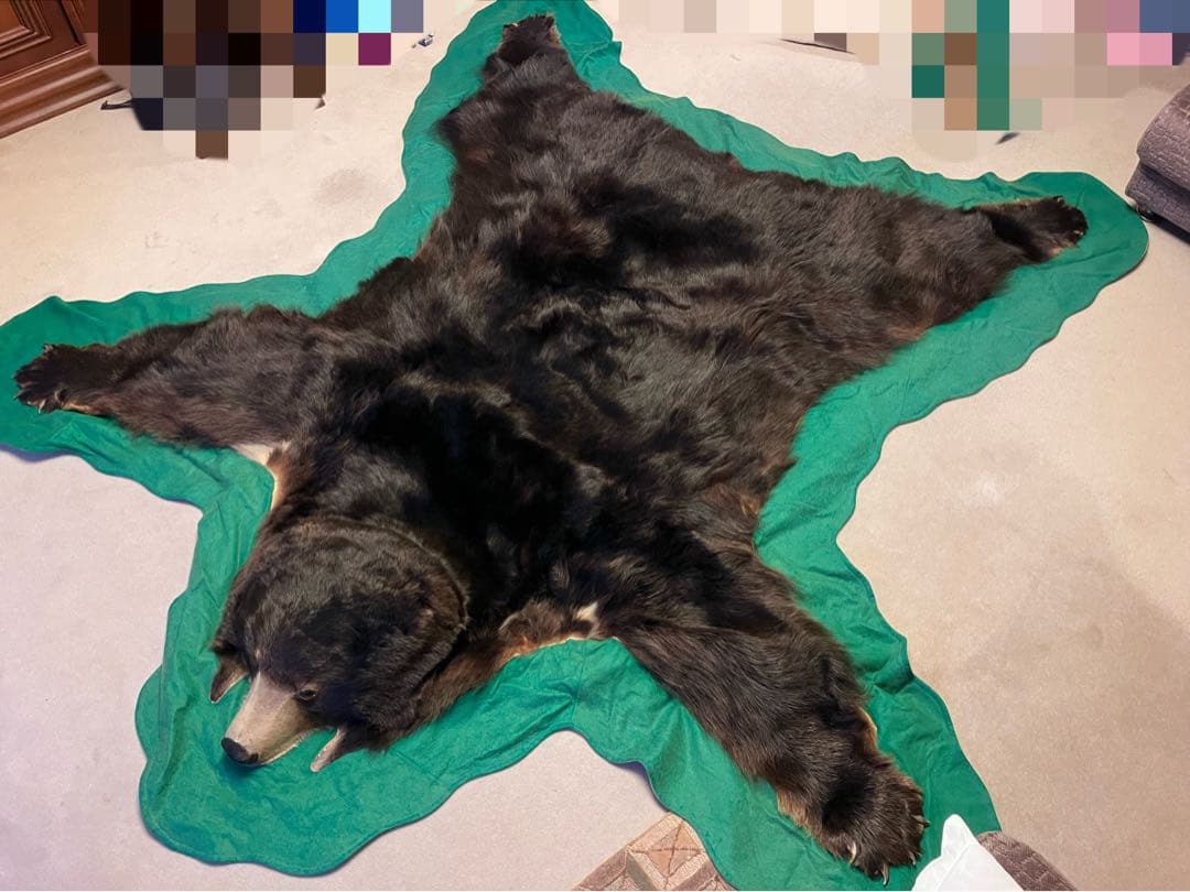ヒグマ 熊 黒毛 剥製 毛皮 絨毯 - メルカリ