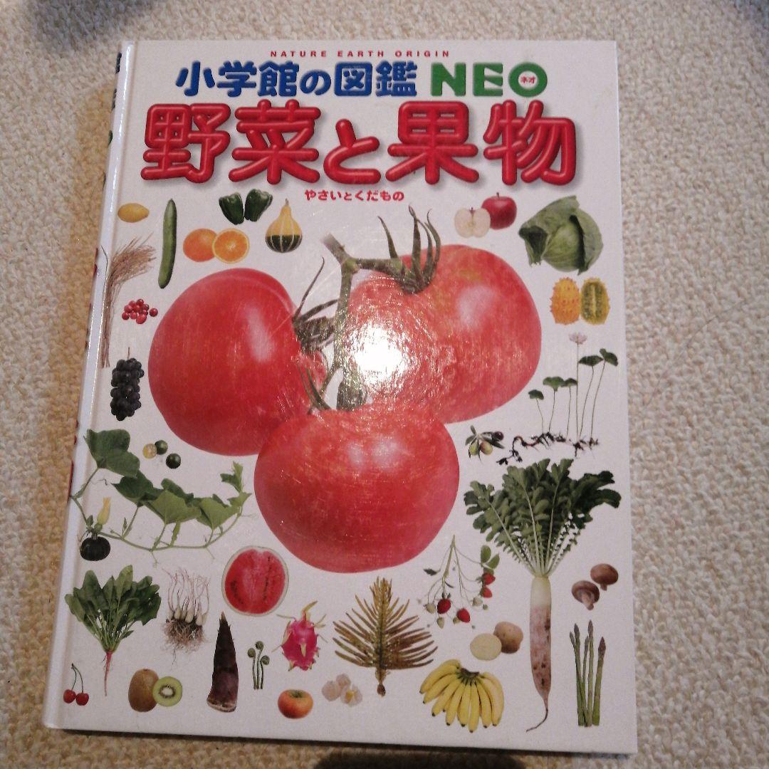 小学館の図鑑NEO 野菜と果物 - メルカリ