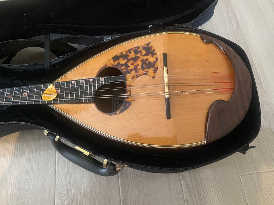 木製マンドリン チューナー付き ハードケース マンドリンケース | マンドリンとギターの専門店 イケガク