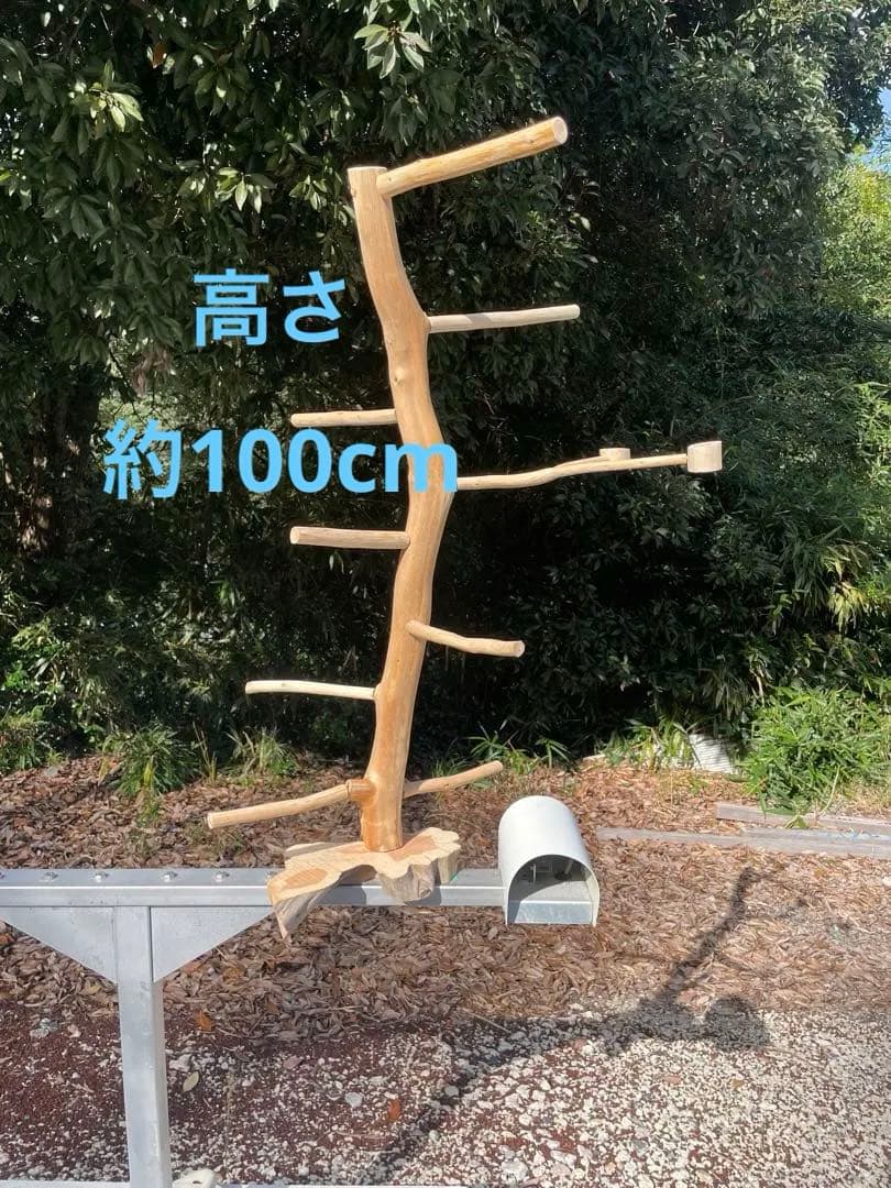 国産ヒノキ 鳥用止まり木 中型インコ用 スタンド 約100センチ 鳥用品