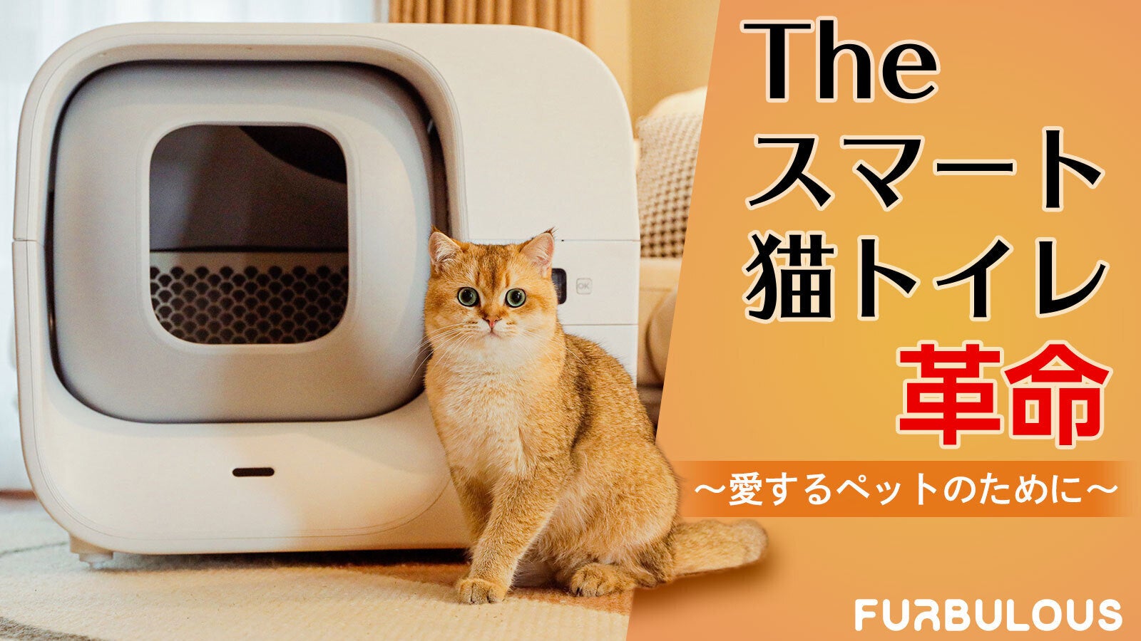 猫ちゃんの体調管理とトイレ掃除がものすごく楽になる全自動スマート猫