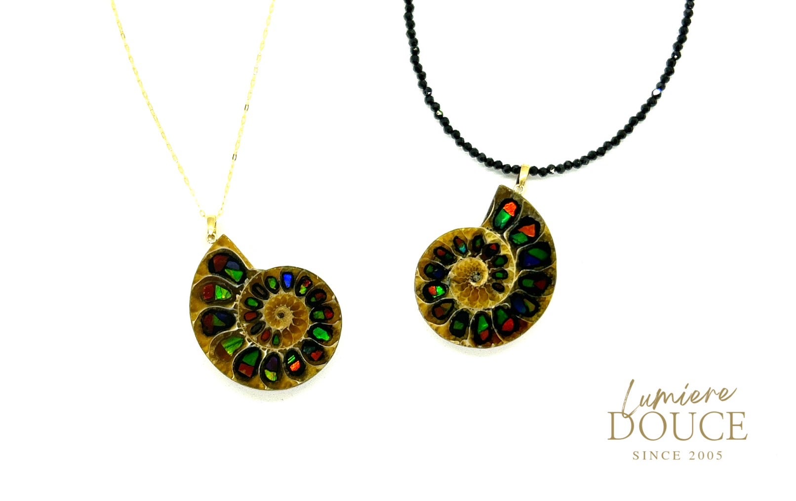 1億年前のシェルが輝き続ける希少ジュエリー。オーロラに輝くオンリー