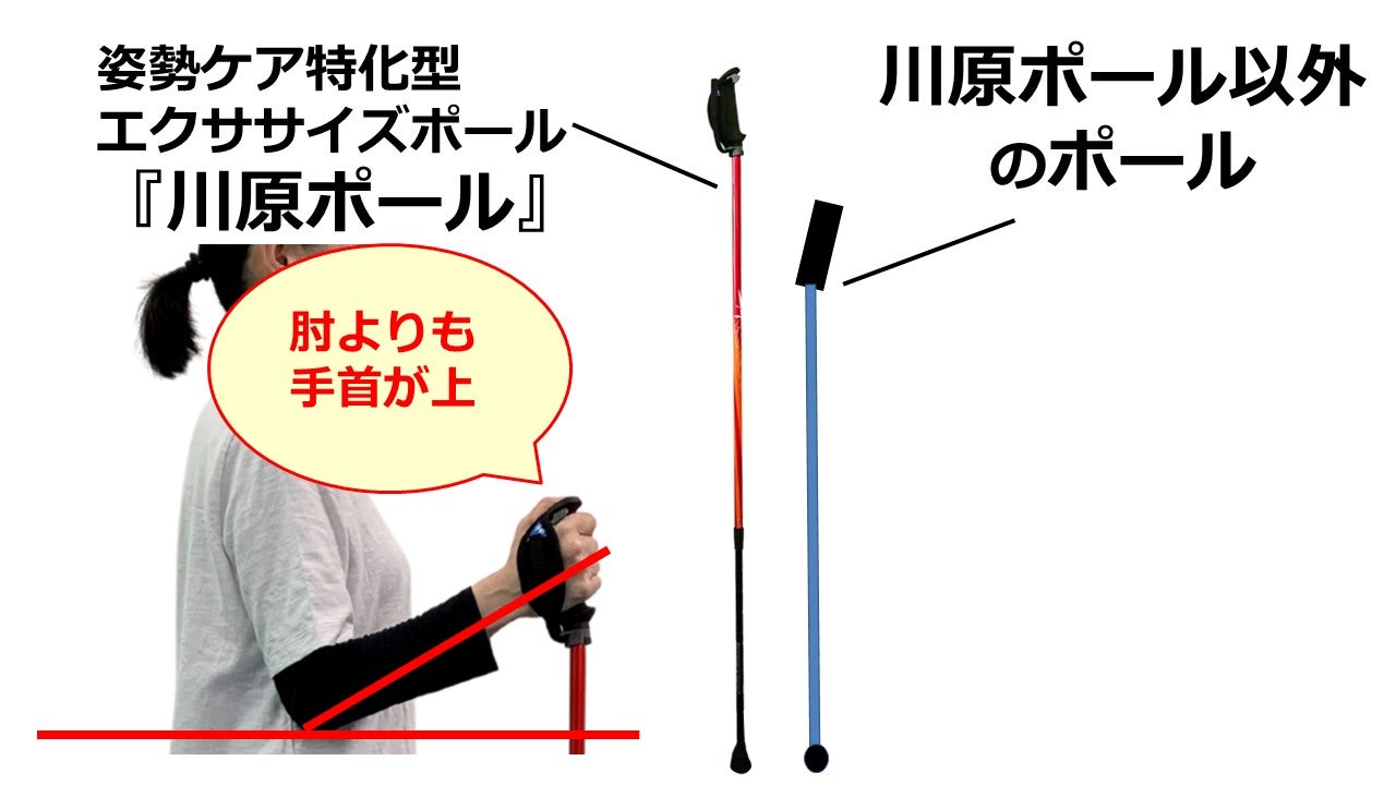 H3Fさん専用 カワハラウォーキング 紫ポール H3Fさん専用 カワハラ