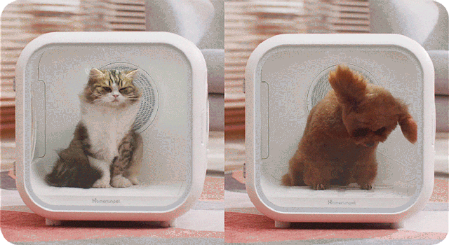 ペットの癒し空間｜お風呂後は寛ぎながら乾燥、ドライヤーハウスDrybo