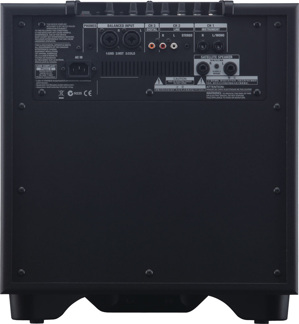 Roland - CM-220 | CUBE Monitor