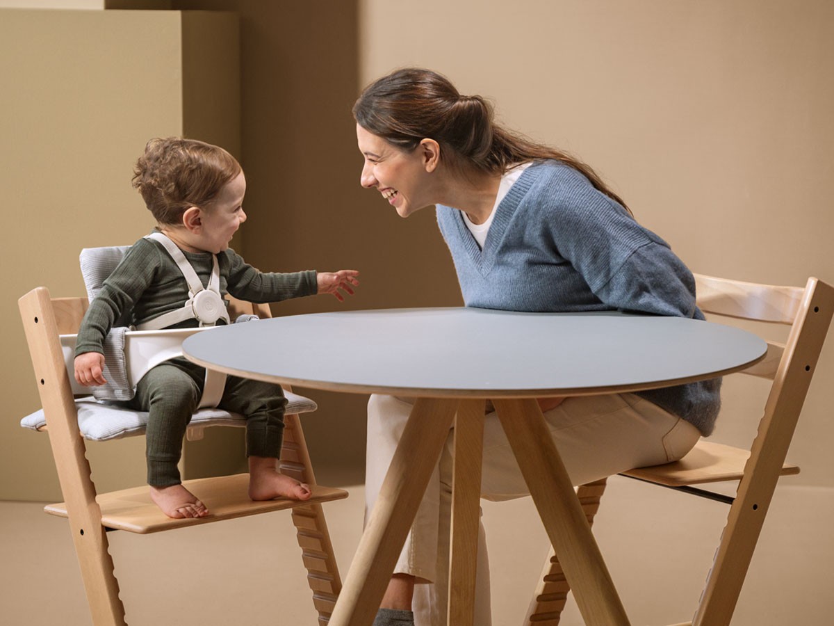 STOKKE TRIPP TRAPP / ストッケ トリップ トラップ ハーネス 2