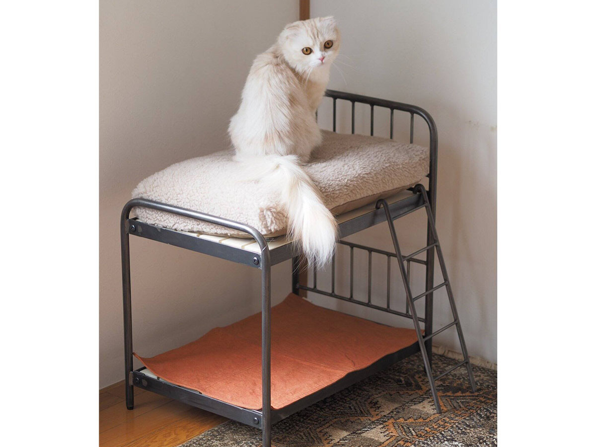 JOURNAL STANDARD FURNITURE SENS BUNK BED for CAT / ジャーナル