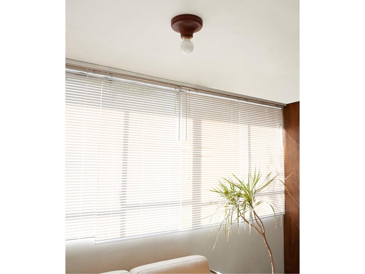 ACME Furniture IRVIN CEILING LAMP / アクメファニチャー アーヴィン