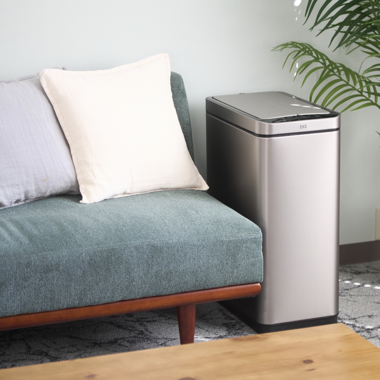 エコーウォーター1000ミリ プレゼント付き エコーウォーター1000ミリ