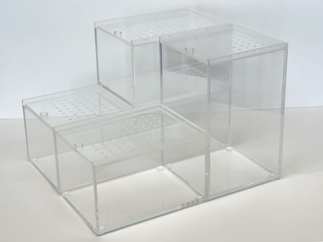 爬虫類 昆虫類 オーダーメイド飼育ケース - アクリル加工屋