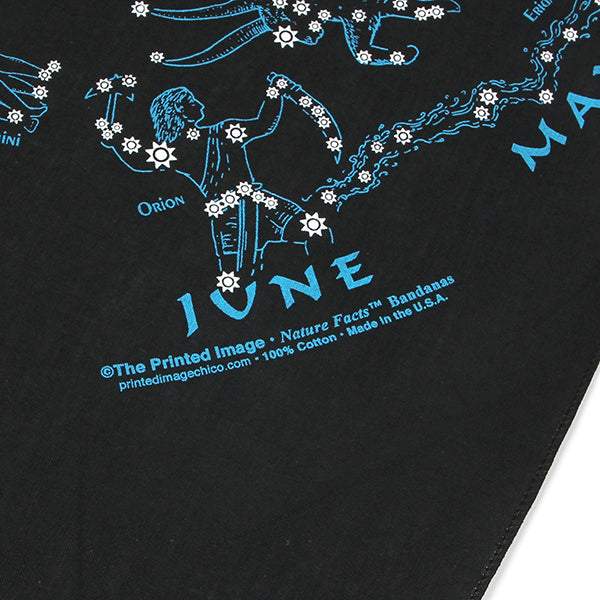 プリンティッドイメージ ネイチャープリントバンダナ 星座 ブラック