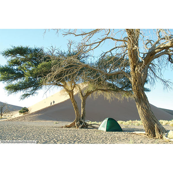 ヒルバーグ ウナ グリーン – aandfonlinestore