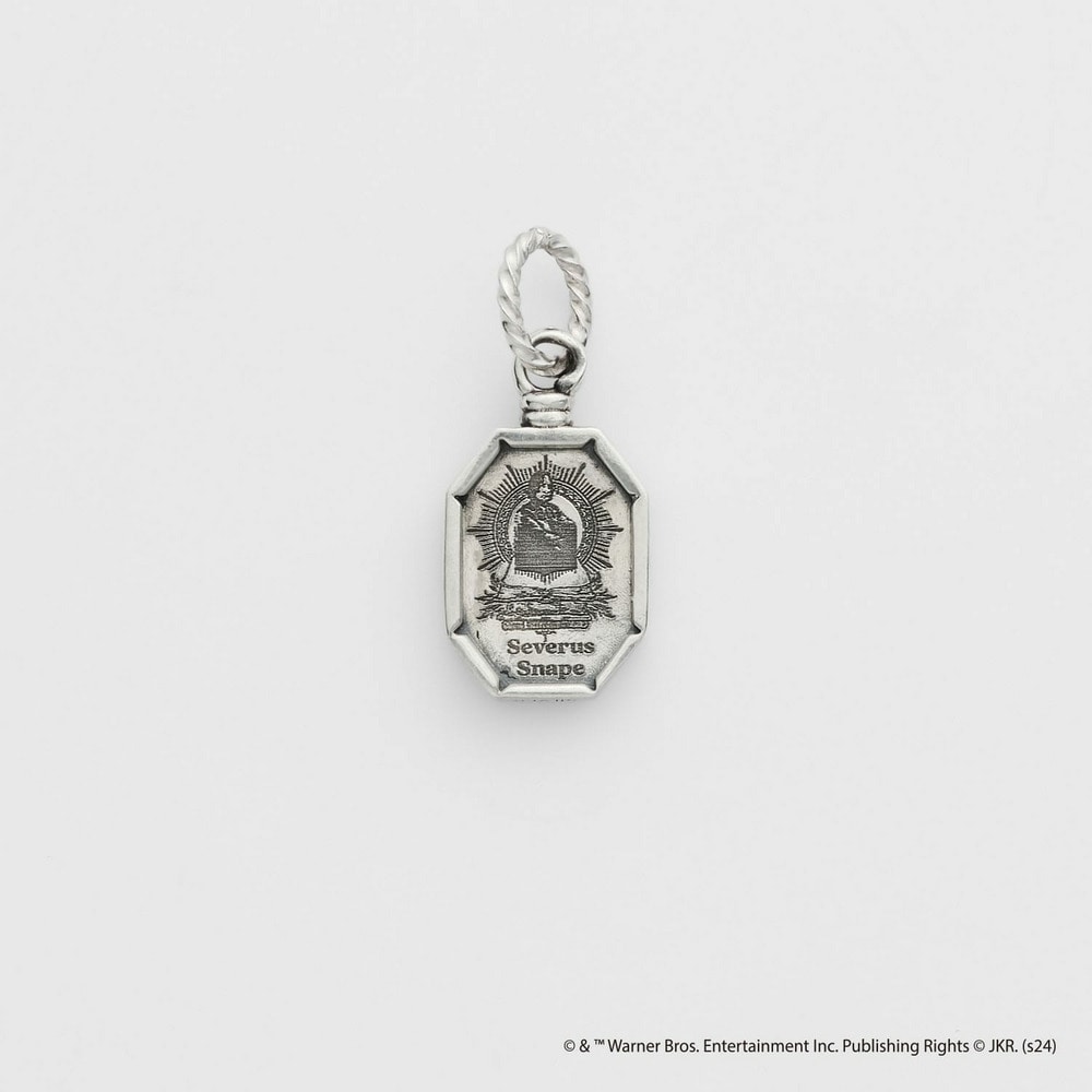 Harry Potter Collaboration＞シルバーチャーム｜Harry Potter &times
