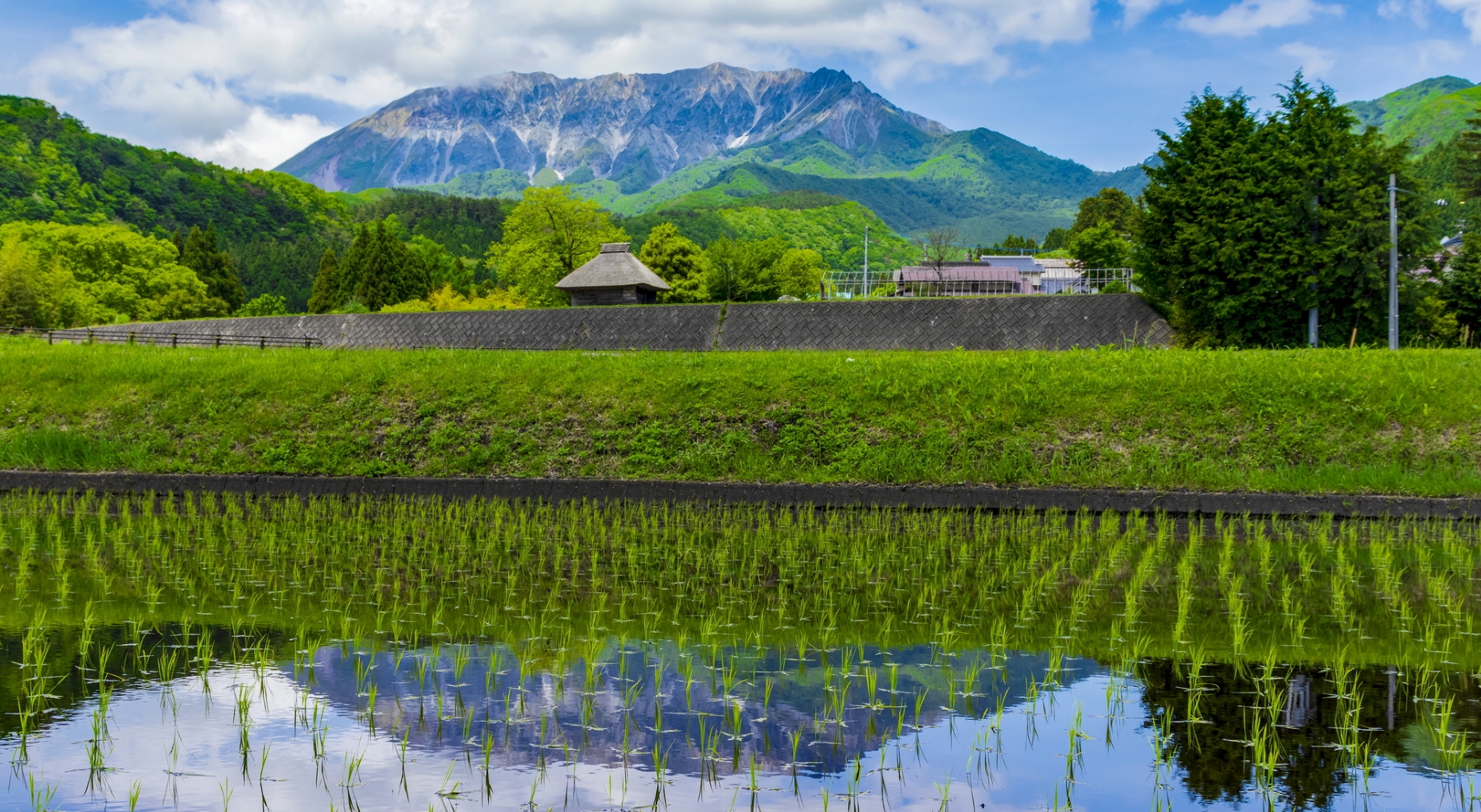 倉吉市・琴浦町の不用品回収、遺品整理なら赤碕清掃