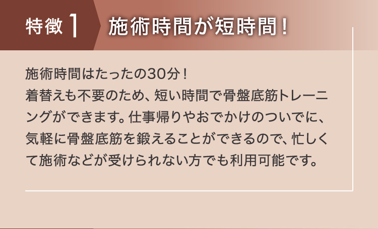 pelluna | 骨盤底筋トレーニングチェア | 電磁波パルス×EMS