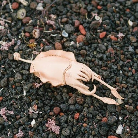 コウイカのキーケース – あまのじゃくとへそまがり