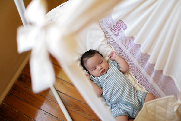 Ambyベビーハンモック バリューパック （カラー：コットン