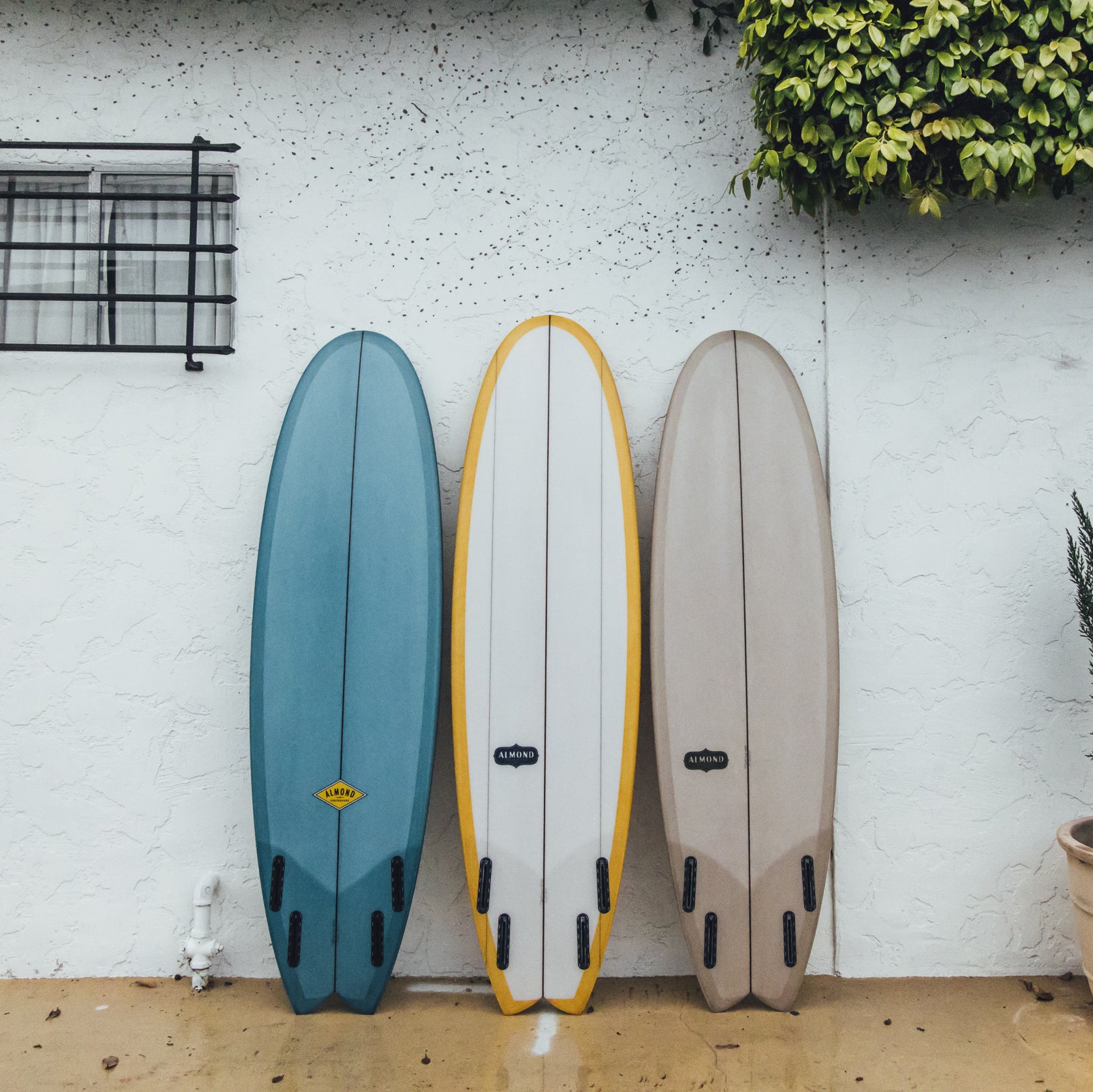 The Big Bueno Fish – Almond Surfboards & Designs