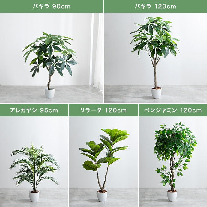 光触媒人工観葉植物 ユーカリ 高さ85cm | 【公式】allecore(アレコレ