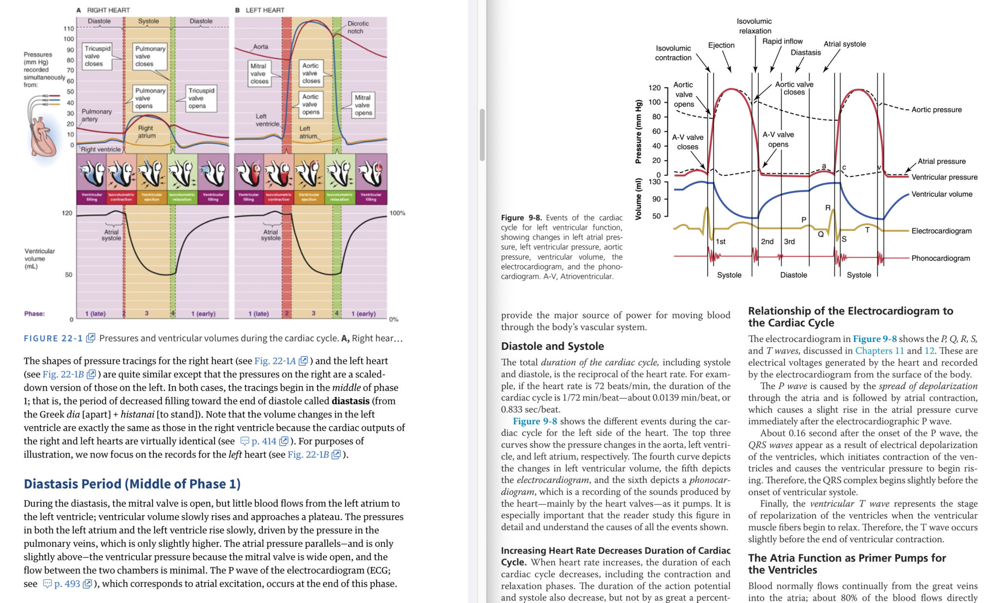 ガイトン生理学 原著第13版 / Anatomy 今日も明日も/ガイトン生理学