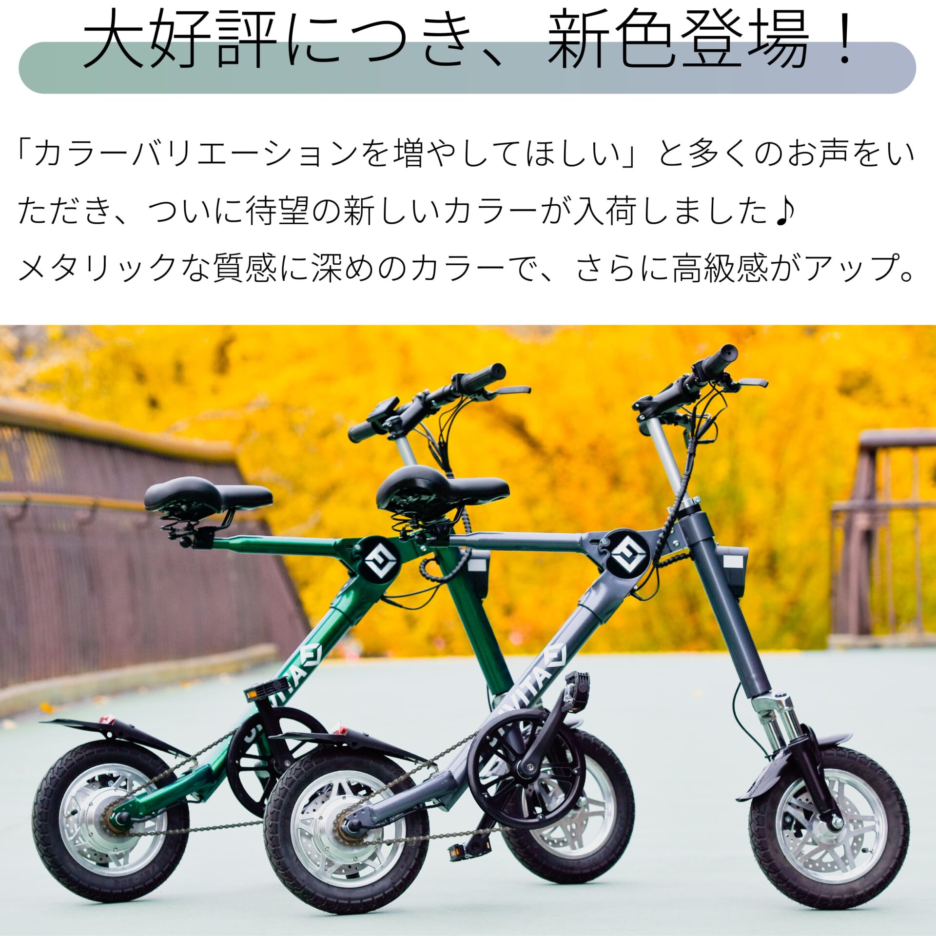 在庫処分特価】BONTORUN（ボントラン）GX：折り畳み機能付き電動