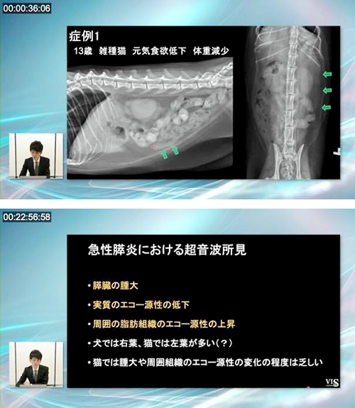 早期的確診断につなぐ！エコー・CT・X線完全読影プログラム | 株式会社