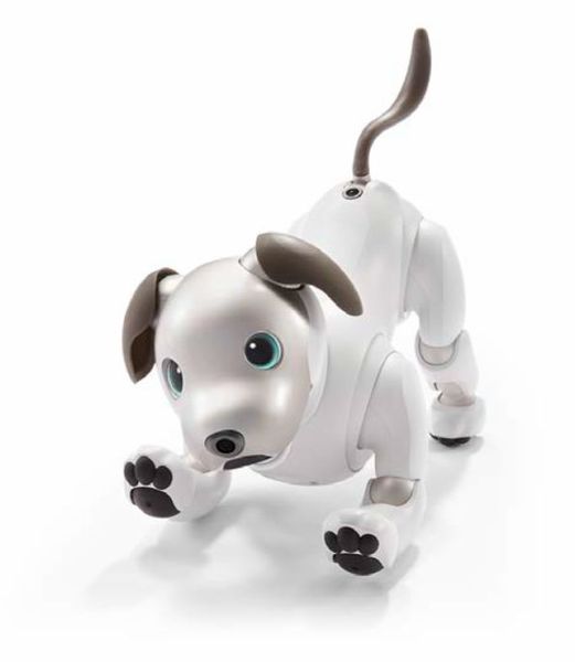 ASCII.jp：ソニー犬型ロボット「aibo」発表