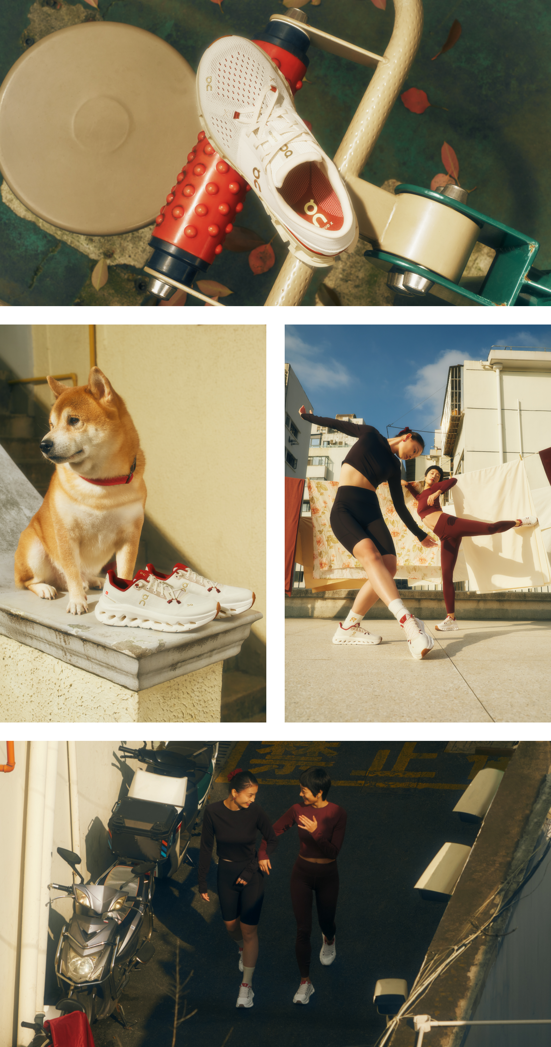 On Celebrate the Year of the Snake | 巳年は「新しい自分」になろう