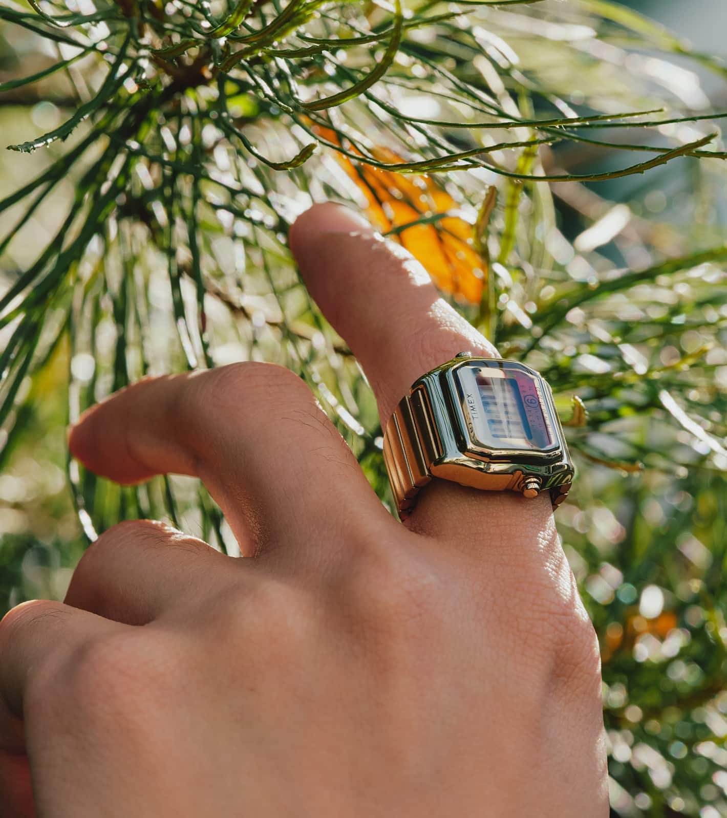 MM6 x Timex | atmos（アトモス） 公式オンラインストア