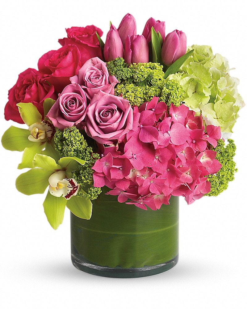 New Sensations (T82-3A) in Dallas TX - Petals & Stems Florist