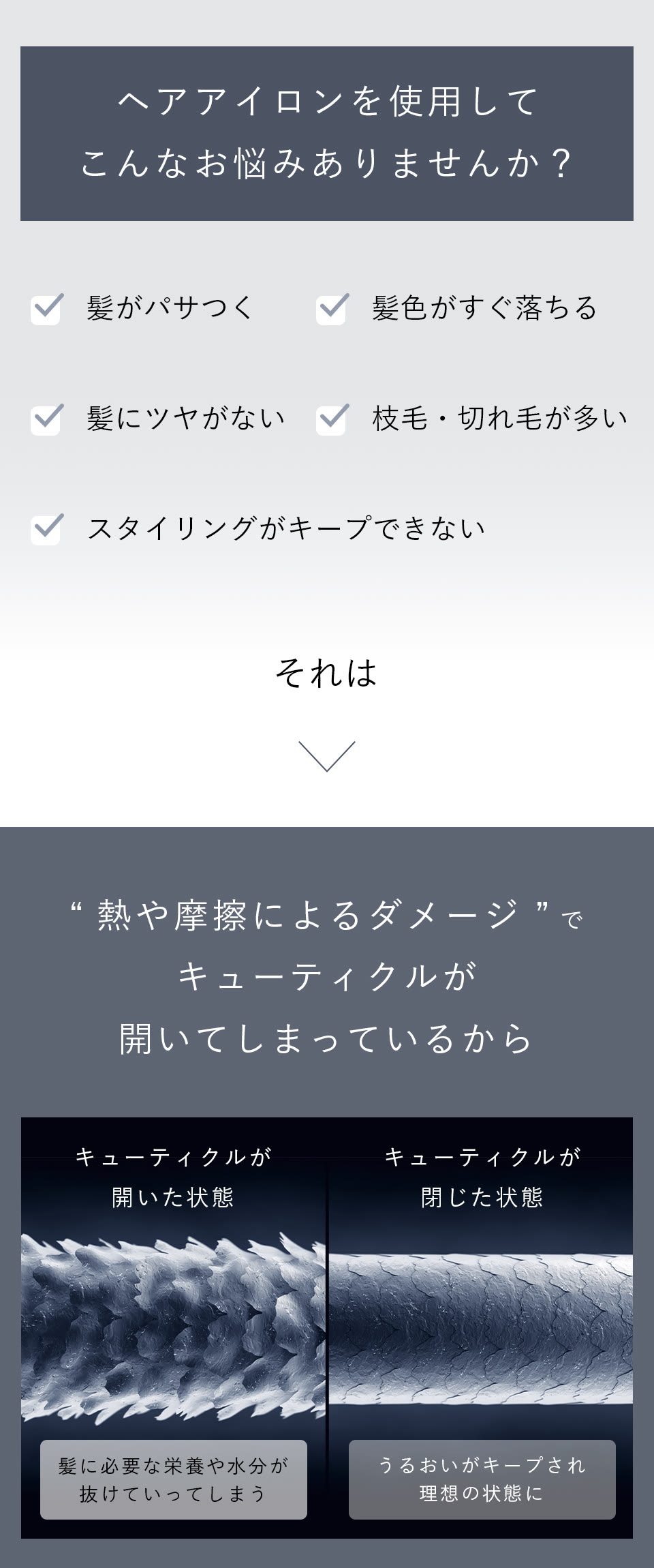 公式】CLUB MEDULLA